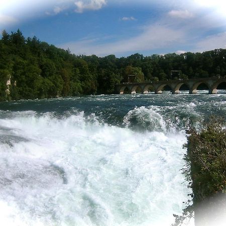 Ferienwohnung Endlich Ferien Waldshut-Tiengen Εξωτερικό φωτογραφία