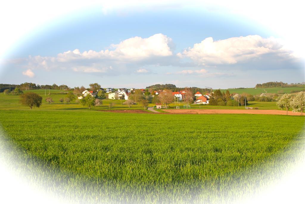 Ferienwohnung Endlich Ferien Waldshut-Tiengen Εξωτερικό φωτογραφία